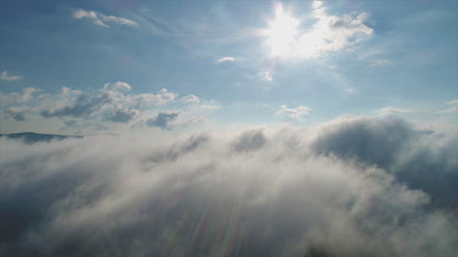 Compact Hiking Poles - Pair