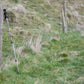 Active Walking Poles - Pair