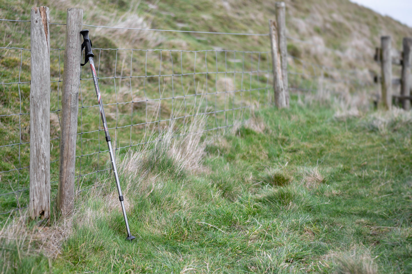 Active Walking Poles - Pair