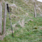 Pair Carbon Fibre Lightweight Hiking Poles