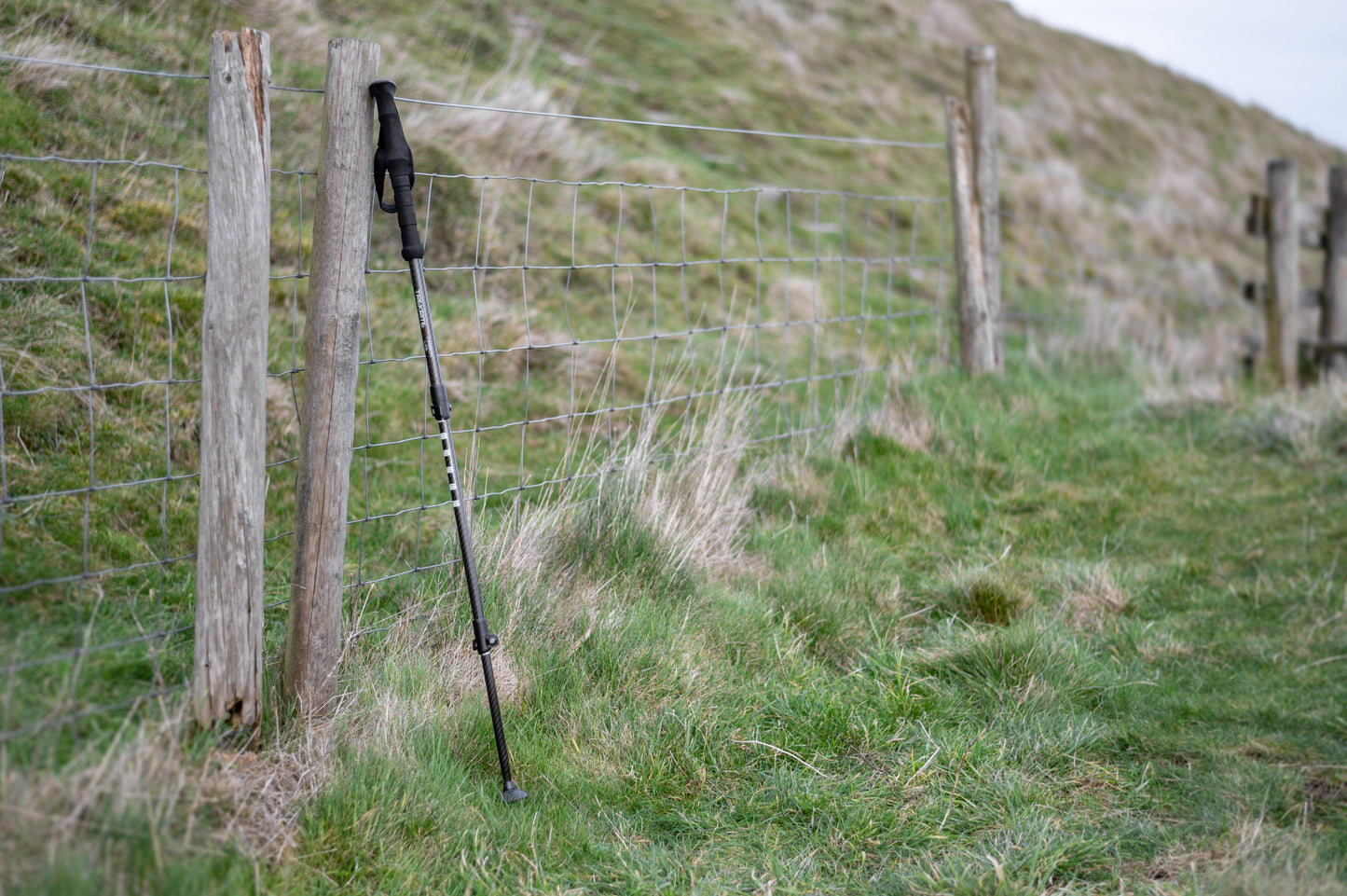 Pair Carbon Fibre Lightweight Hiking Poles