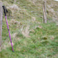 Pair Womens Hiking Poles - Choose Colour