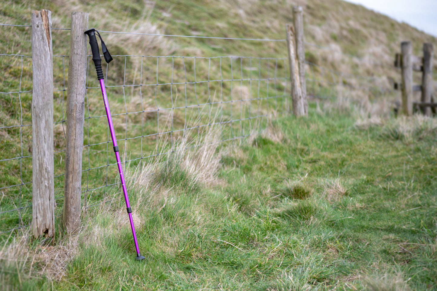 Pair Womens Hiking Poles - Choose Colour